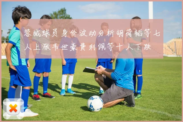 蓉城球员身价波动分析胡荷韬等七人上涨韦世豪费利佩等十人下跌